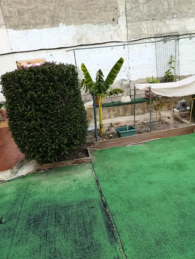 VIVIENDA CON TERRENO CENTRO MULA — 28