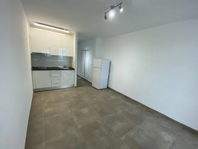 LEER EL ANUNCIO!!!!! APARTAMENTO REFORMADO EN CALA MAYOR CON