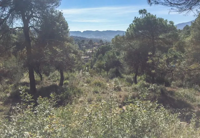 TERRENO URBANO EN RELLINARS DE 946 M2 - ZONA EL PLANET — 10