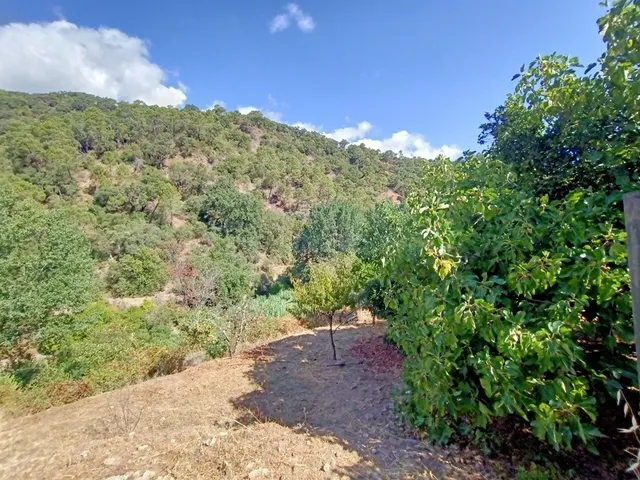 Casa de campo-Masía en Venta en Benastepal Málaga — 51