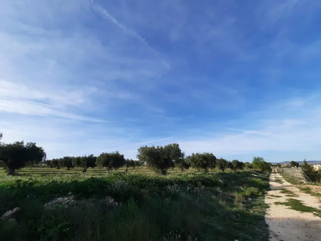 TERRENO PARA SU CASA DE CAMPO EN CANTO BLANCO — 2