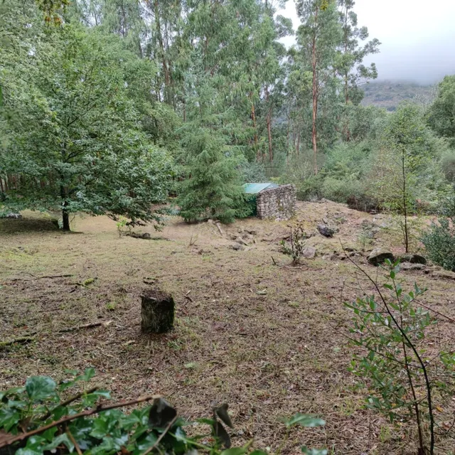 Terreno Rústico en venta - Cerdedo-Cotobade - foto 5