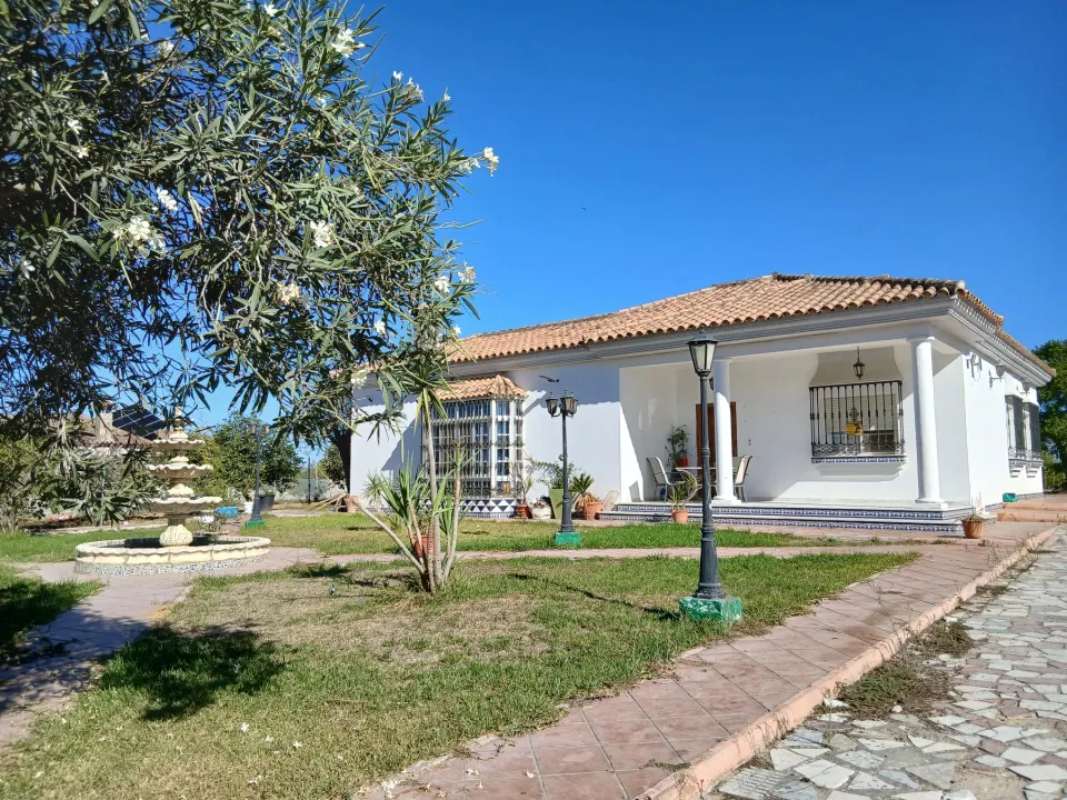 FINCA RÚSTICA EN CAMINIO DE TORREALTA