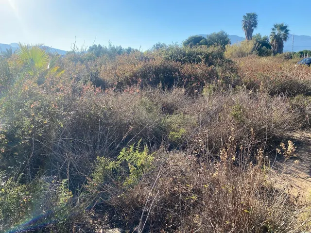 Terreno urbanizable en playa Tavernes de la Valldigna en ven - foto 5
