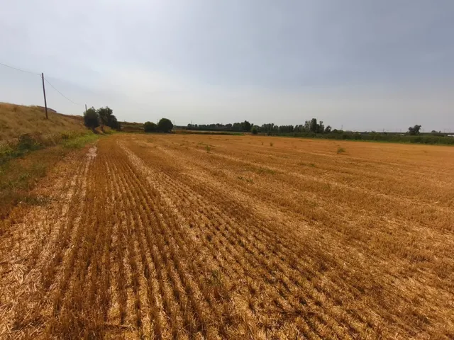 Fincas rústicas en Lleida – venta conjunta — 3