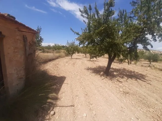 Se vende terreno de 16000 metros — 2