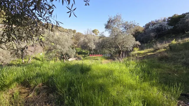 CHALET EN VENTA EN EL PUERTO CALATRAVEÑO — 7