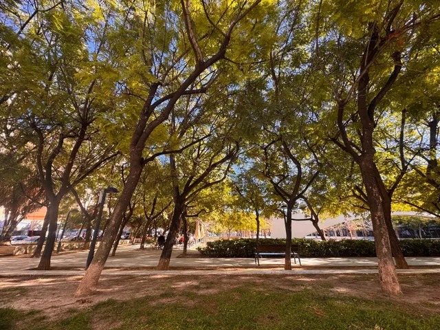 VIVIENDA DE ALQUILER PLAZA LA VIÑA !!!! — 18