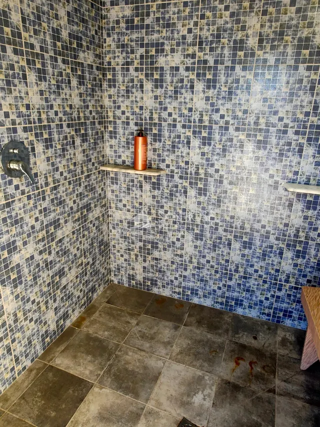 SE VENDE CHALET CON PISCINA EN MUY BUEN ESTADO EN ASPE ZONA DE UCHEL — 31