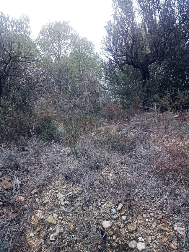 terreno Agrario — 12