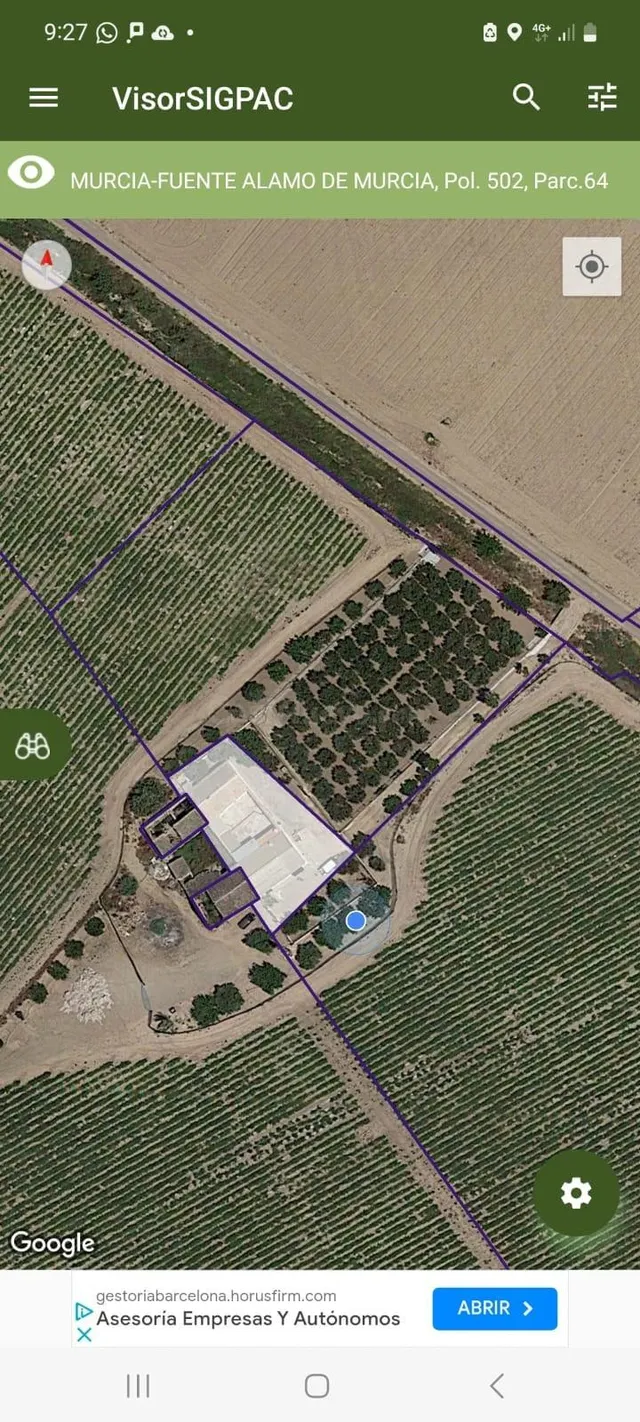 Terreno en venta en paraje Los Patas Chicos, Balsapintada — 5
