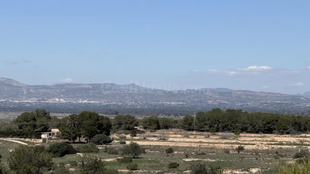 Terreno rústico para proyecto en San Fulgencio (Comunidad Va - foto 3