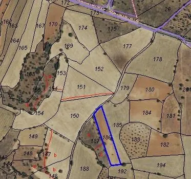 Parcela rústica de 7.214 m2 – Alta proyección para planta so