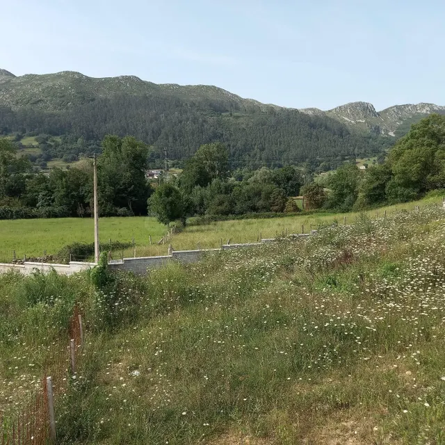 Finca urbana con proyecto de vivienda en Sopenilla, San Feli