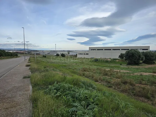 PARCELA DE 3 HECTARIAS EN POLIGONO INDUSTRIAL ORIOLA, AMPOST