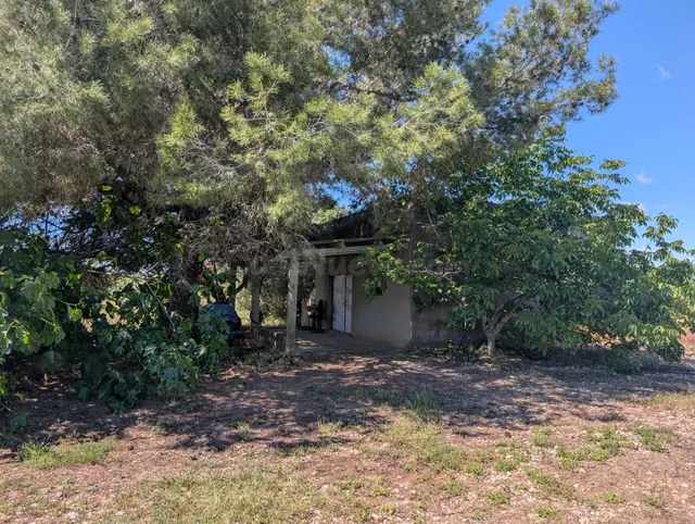 Finca de Ensueño con Casa de Campo a Pocos Kilómetros del Ma - foto 2