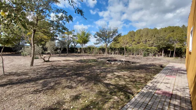 Casa de campo con parcela vallada, pinada, zona de olivos y amplia área de barbacoa — 13