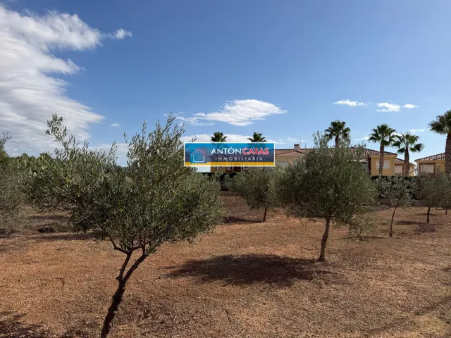 CASA REFORMADA CON TERRENO RÚSTICO DE 3.000 M2 EN ÚBEDA – PINOSO — 35