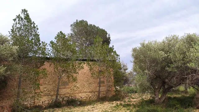 Venta de finca rústica en Xerta