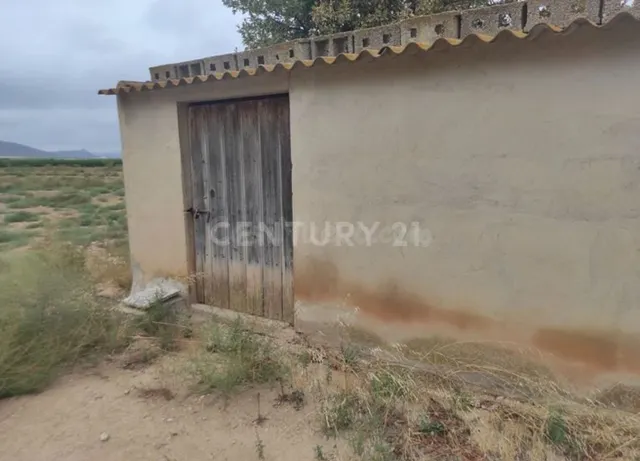 Terreno rural en venta - Jumilla - foto 3