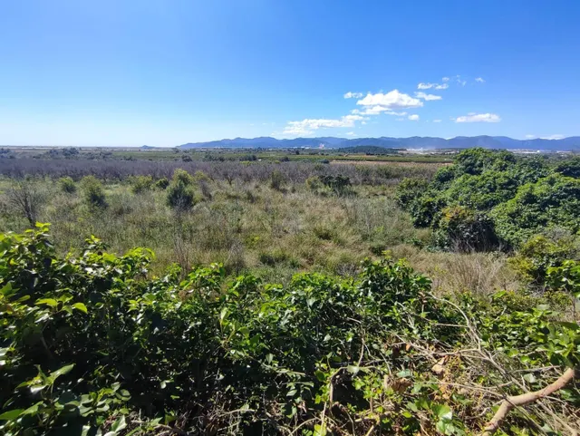 FINCA DE NARANJOS - foto 3