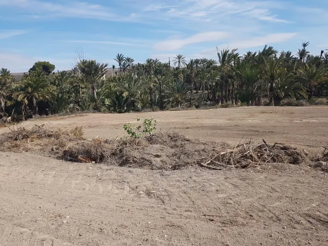 terreno para construir chalet — 16
