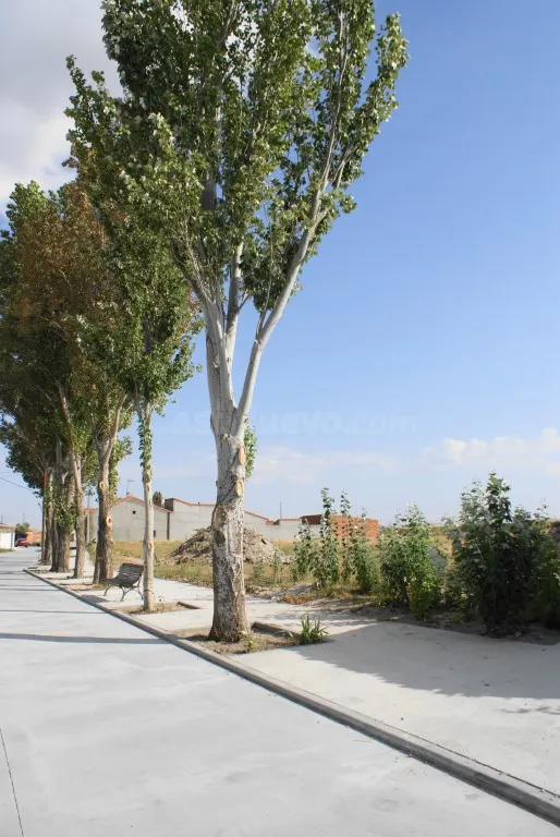 Solar urbano en Venta en Oso, El Ávila - foto 2