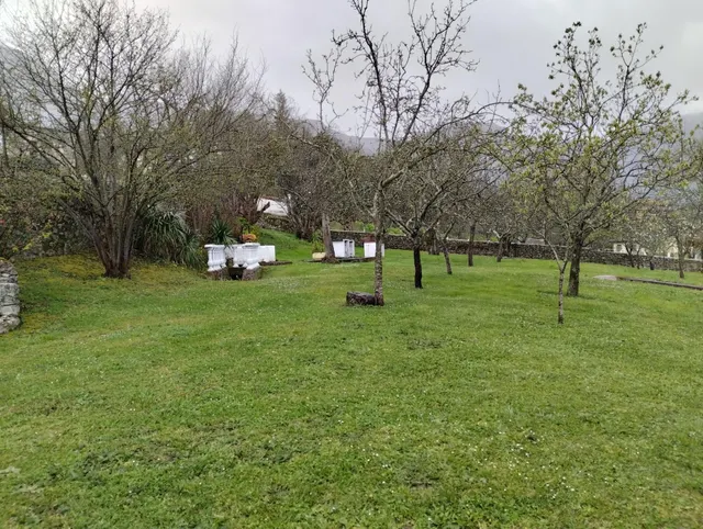 EN VENTA PRECIOSA PROPIEDAD EN EL VALLE DE MENA — 24