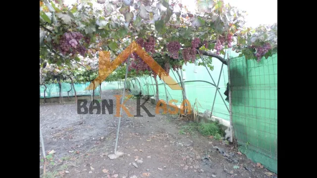 SE VENDE CASA CON TERRENO EN CHERÍN (UGÍJAR) PROVINCIA DE GRANADA — 25