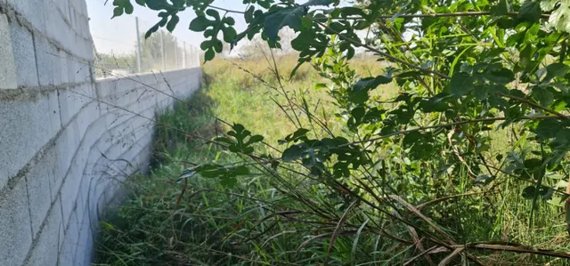 ++Terreno no urbano en Molina de Segura zona El Paraje++, 500 m. — 3