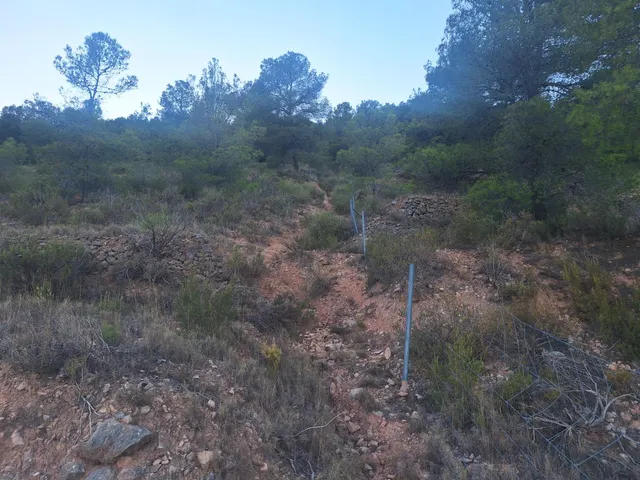Finca rústica forestal en venta con vistas panoramicas · Castalla (Alicante) — 11