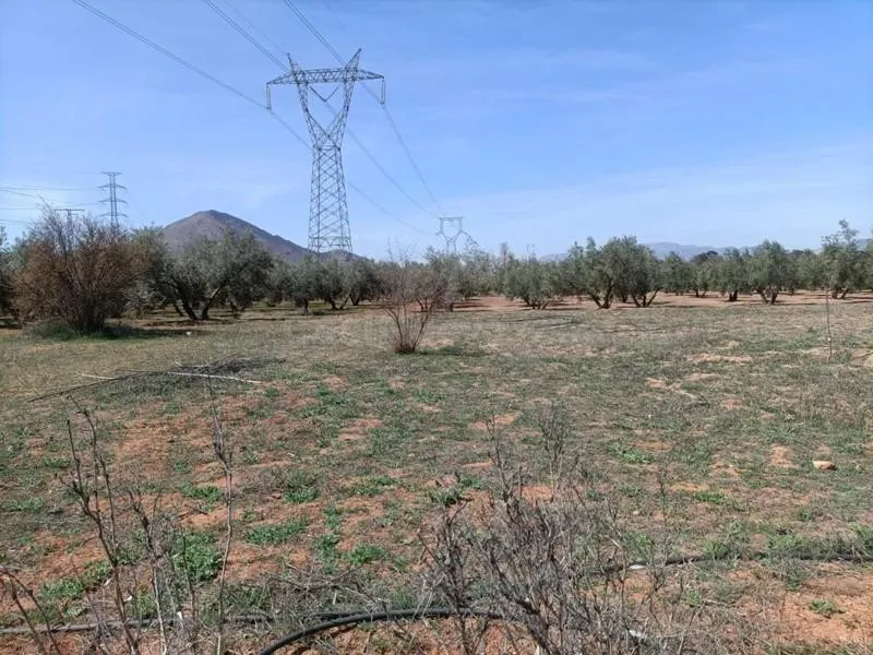 Finca Rústica