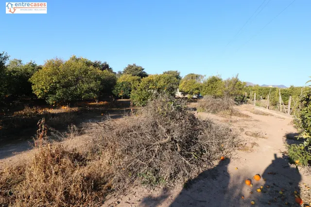 Conjunto de parcelas en Canet de Berenguer (zona gasolinera) — 16