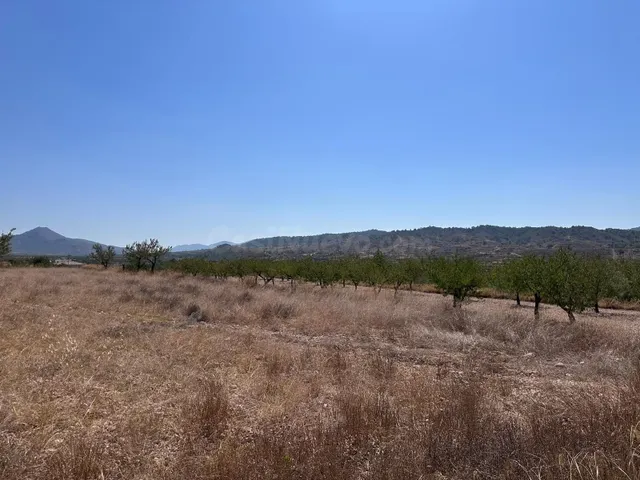 Parcela en venta - Macisvenda - foto 3