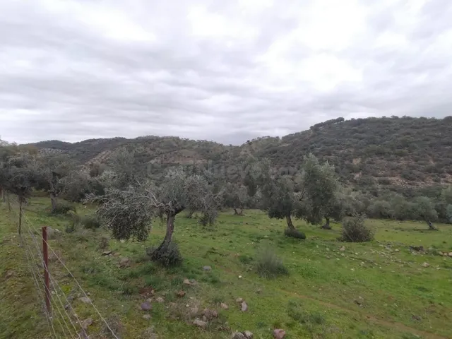 Terreno No urbanizable en Villanueva del Rey - foto 3