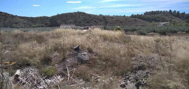 Parcela en venta - Calasparra - foto 4