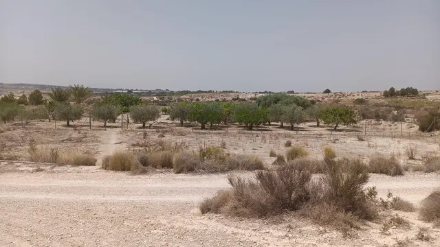 VENTA DE PARCELA EN MOLINA DE SEGURA — 4