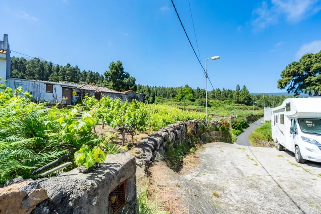 Finca con vivienda y viñedos en Icod de los Vinos — 15