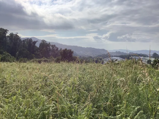 Terreno con proyecto de ejecución en camino Galeota, Beade — 7
