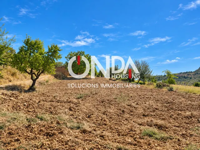 Finca rústica de 29.534 m2 con edificación de 314 m2 y pozo en Seixols, Tremp — 8