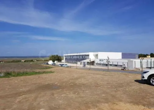 Venta de Parcela en Villalba del Alcor, Huelva. - foto 2