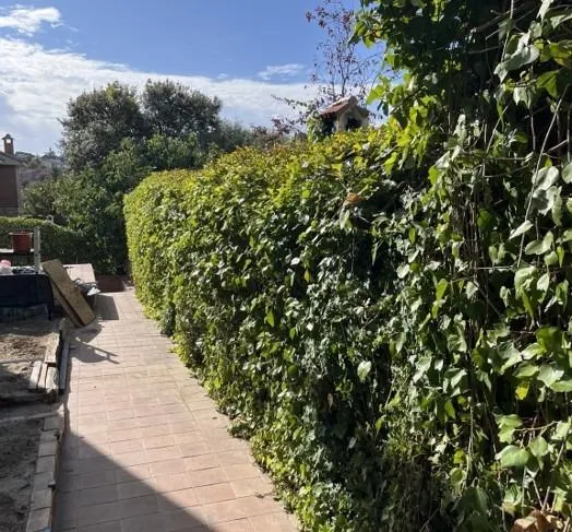 excepcional VILLA - El Casar - MADRID -GUADALAJARA — 21