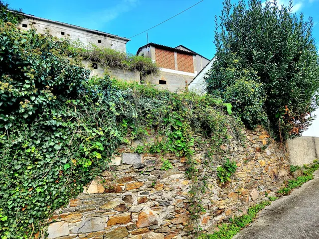 PRECIOSA CASA CON CAPILLA Y TERRENOS EN VILLAYON (ASTURIAS) — 9