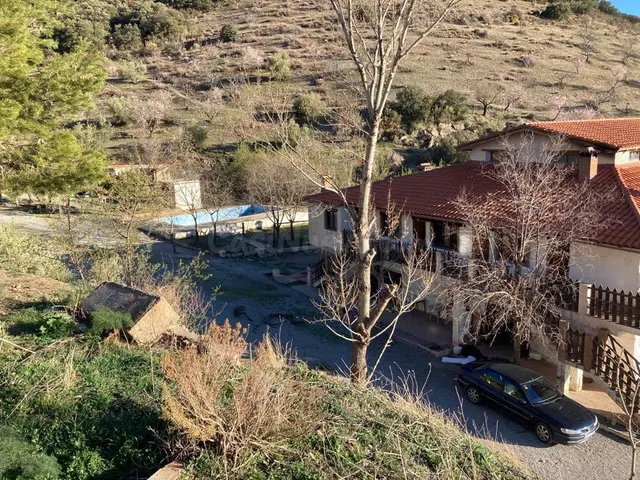 TERRENO RUSTICO A LA VENTA EN TORVIZCON (GRANADA) - foto 3