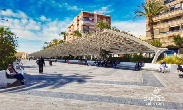 Apartamento soleado 2 dormitorios con piscina — 11