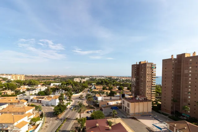 Apartamento 1 habitación 42m² en venta - Campoamor — 12
