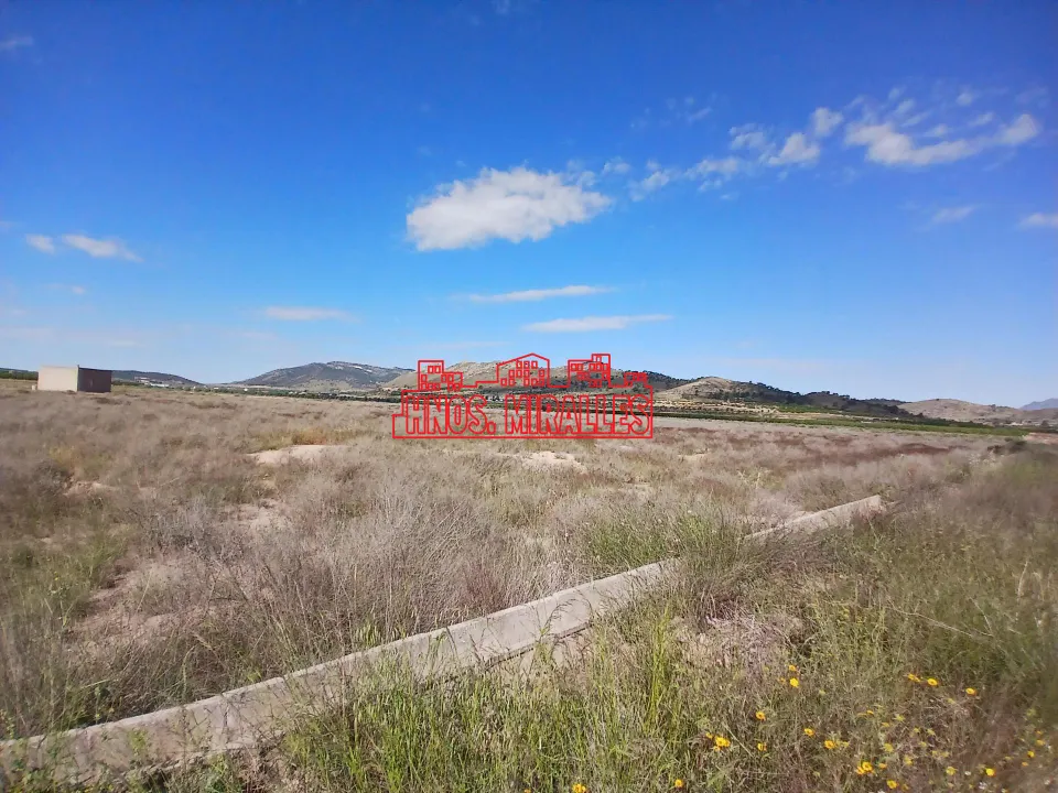 ¡¡ GRAN PARCELA DE 25851 m2 EN ABANILLA !!