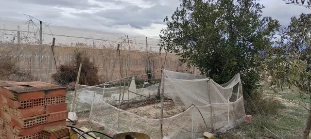SE VENDE TERRENO A 20 MINUTOS DE ALICANTE CON AGUA Y CASA PARA REFORMAR — 4