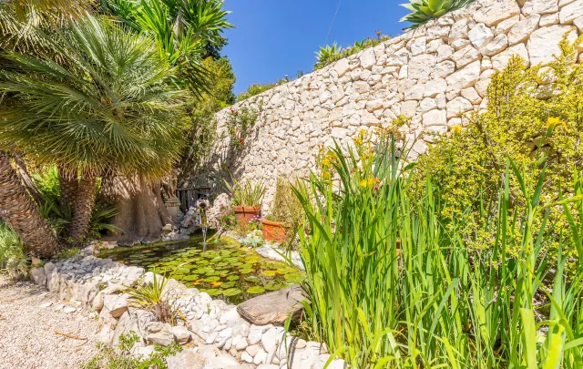 Magnifica finca de 200 años en Teulada — 13