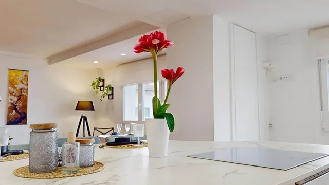 ✨ Vivir en el corazón de Zaragoza, con todo el encanto y elegancia que mereces ✨ — 10